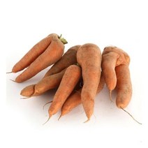 23년 국내산 경남 하우스 햇 흙당근 5kg(못난이), 5kg 못난이, 1개