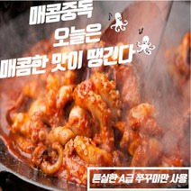 쭈꾸미볶음 맛집 냉동 쭈꾸미볶음 밀키트 택배 매운맛/보통맛 300g 1팩 2팩 3팩, 300g 3팩(매운맛)