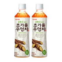 롯데칠성음료 잘빠진 하루 초가을 우엉차, 500ml, 6개