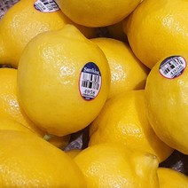 미국칠레산 팬시 레몬 3kg 중과 25과내외