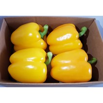 영프레시 파프리카 특품 1kg 가락시장 당일경매 가격변동 - 혼합 / 노랑/ 빨강/ 주황, 파프리카 혼합( 빨강 노랑 ) 1kg
