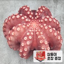 프레시퍼스트 제수용 자숙문어 1미 모리타니아 손질 데친 삶은 문어 삼둥이 초장 증정, d. 자숙문어 제수용1미 1kg +삼둥이초장, 1개