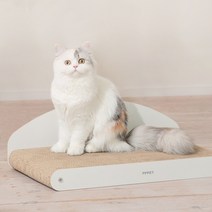 펫펫펫 고양이 스크래쳐 소파형, 1개