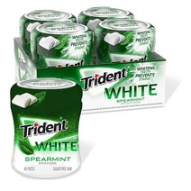 Trident 트라이던트 무설탕 스피어민트 60개입 4팩