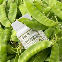빈스캐빈 녹두콩 수분크림 단품 / 천연성분90% 오일프리 수분크림 / 80g, 1개