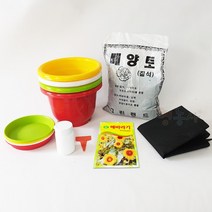 해바라기키우기 7종, 단품