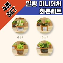 MINI DIY 만들기 집 말랑 하우스 화분 4종세트 미니어쳐, [[..본상품선택..✤