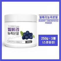 빌베리 분말 가루 파우더 오스트리아산 빌베리 농축액 100% 안토시아닌 폴리페놀 고함량 온가족 눈 건강 추천, 3통, *빌베리 분말 250g (스푼증정)