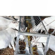 축사 여물통 염소 돼지 소 긴 먹이통 가축 양돈장, 고급 두꺼운 1미터 컬러 강철 여물통