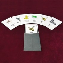 애니멀프리딕션카드(형)(Animal Pre-Diction Card Premium Type) 어린이교육마술 애니멀카드, 상세페이지 참조