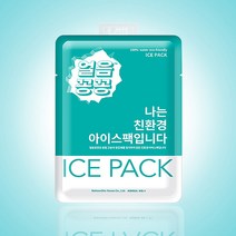 태인유통 아이스팩 물100% 친환경 얼음꽁꽁 반제품 대(16x23cm)-100개, 100개