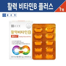 종근당 활력 비타민B 플러스 수용성 종합 비타민 B군 영양제, 1세트, 종합 활력 비타민B 플러스 60정