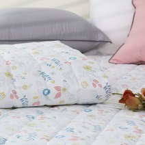 (주)이솔홈 이솔홈 랜디 세미마이크로 침대패드 Q, 단품