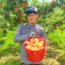 [이진식농부]황도 복숭아 9~12과 대과 3.0kg내외, 1개