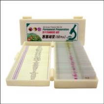 영구 프레파라트 동물세포(50pcs)