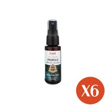 하이웰 프로폴리스 MGO 830+ 스프레이 30ml 6개