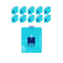 (대한) 아이스팩 반제품(미니10x15)100개-1BOX 얼음팩 아이스 쿨팩 스티로폼 아이스박스 젤팩, 수량