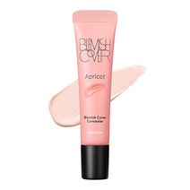 한스킨 Hanskin 살구 블레미쉬 커버 다크 서클 풀 커버리지 컬러 보정 컨실러 9g, Apricot
