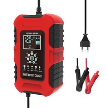12V10A 24V5A 철리튬 겔 아연산 AGM LiFePo4 모터사이클 자동차 배터리 스마트 충전기, 주황색