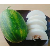 고당도 당일수확 당일발송 시원 달콤한 파파야메론, 5kg, 1개