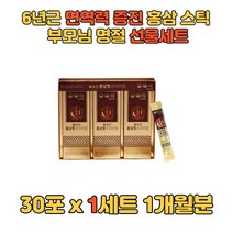 온가족 하루한포 프리미엄 6년근 홍삼 스틱 명절선물 엄마 아빠 어머니 아버지 남자 여자 남성 여성 40대 50대 60대, 상세페이지 참조, 상세페이지 참조, 상세페이지 참조, 상세페이지 참조, 상세페이지 참조