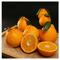[제주특산물]제주연가 한라봉 가정용 3kg/5kg10kg, 01. 한라봉 가정용 3kg(15과내외