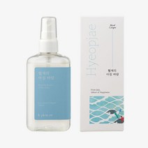 100ml 기프트 디퓨저 르플랑 무드 방향제 선물 섬유탈취제 아침바람 어메니티 코롱 판촉 패브릭 퍼퓸 향기 협재의, 본상품선택, 본상품선택, 1개