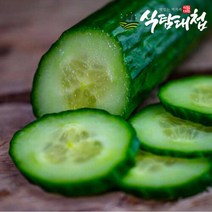 식탐대첩 남도 취청오이 특상품 1kg 4-6개, 단품