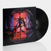 Lady Gaga - Chromatica LP 앨범 Vinyl 레코드
