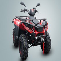 MARSHIC CFMOTORS LH-300 4X4 오토 ATV 사륜바이크