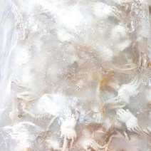 베이비크랩 800g, 단품, 단품