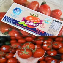 [행복농장] 스테비아 토망고 완숙 찰 토마토 대추 방울 토마토 대저 짭짤이 토마토, 1box, 05)대추방울 토마토 750g (1팩)