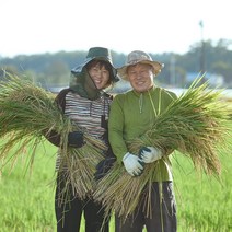 쌀맛나는농장 이천쌀 2022햅쌀5kg, 10kg. 백미   22년산 고시히카리
