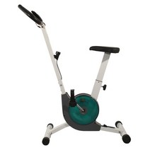 홈트 집 혼자 가정용 자전거 다이어트 체중감량 스피닝 사이클 초저소음 자기 제어 피트니스 회전 가족 전용 운동 스포츠 체중 감량 실내, 초록, 2.green