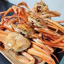 구룡포 연지 홍게 홑게 제철 3kg, 구룡포 자숙 연지홍게 중소 3KG