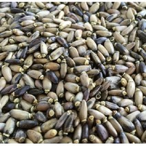 밀크시슬씨앗 100립/우유엉겅퀴씨앗/밀크씨슬 씨앗