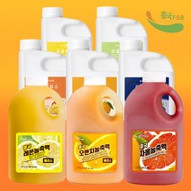 흥국 자몽 농축액 오렌지 레몬 청포도 애플망고 블루베리 한라봉 에이드, 02-오렌지농축액 1.5L
