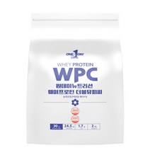 원데이뉴트리션 웨이프로틴 WPC 무맛 2000g 1개, 기본