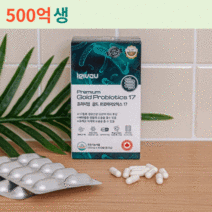 프로바이오틱스 2개월 모유유래유산균 bnr17 유산균 락토바실러스가세리 셀티바 다이어트 갱년기 유산균 yt1 비에날씬 여성 질 유래 lgg 유산균, 프리미엄골드 프로바이오틱스 1개입(2개월분)