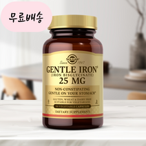 SG솔루션 솔가 철분제 젠틀 아이언 25mg 90정, 1개, 90개
