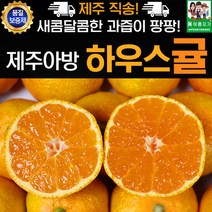 제주 하우스귤 선물용 5kg 중과 42-57과 추석선물 명절선물, 상세페이지 참조, 상세페이지 참조, 상세페이지 참조
