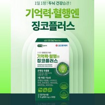 기억력개선 혈행개선 징코플러스 은행잎 추출물, 1개