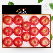 [웰굿]경북 정성담은 명품 사과선물세트 5kg(12-14과), 1개
