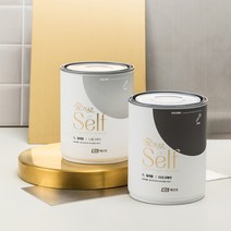 KCC페인트 숲으로셀프 철재용 3L 현관문 대문 샷시 난간 / 친환경 수성 DIY, 색상선택, 화이트5