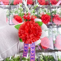 어버이날 카네이션 조화 고급형 50개 세트 (옷핀 패키지 포장 포함)