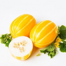 신선코리아 성주참외 산지직송 못난이 가정용 고급 선물용 황금참외 1kg 2kg 5kg 10kg, 가정용 못난이