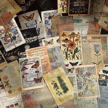 빈티지 레터링 식물 우주 세계여행 랩핑지 배경지 떡메모지 다꾸 페이퍼, 2.세계지도 (ME-665)