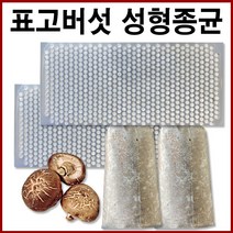 [표고버섯종균] 캡슐형 606구 버섯종균 씨감자 성형버섯 느타리종균 캡슐종균 버섯 종균, 1개, 100g내외