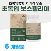 인도 보스웰리아 하루 2알 초록입홍합 우슬 치커리 초록 홍합 보스웰릭산 버드나무 껍질 홈쇼핑 영양제 프리미엄 성분 골드 플래티넘 가격 효능 비교 부모님 엄마 아빠 할머니 할아버지, 6개월분, 1000mg x 60정 (하루두알)