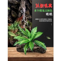 비바리움 테라리움 이끼 만들기 DIY 분재 사육장 반려 실내 파충 도마뱀붙이 도마뱀 사막 상자 모, 보라색 송 Luo Tielan-15